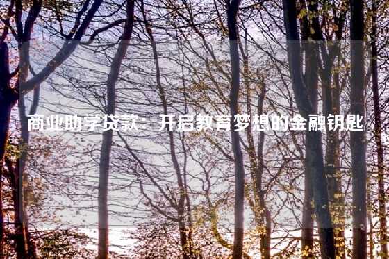 商业助学贷款：开启教育梦想的金融钥匙