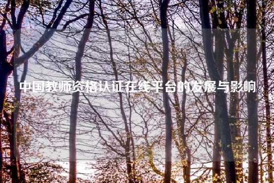 中国教师资格认证在线平台的发展与影响