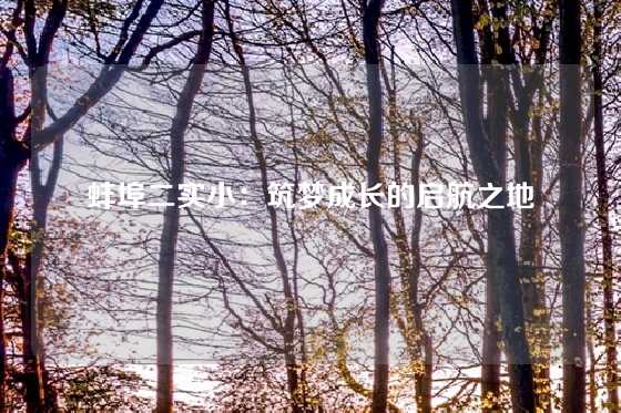 蚌埠二实小：筑梦成长的启航之地