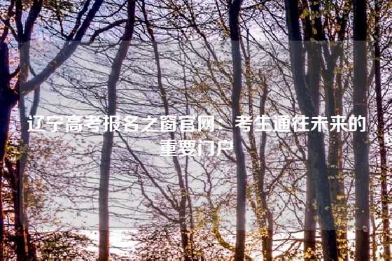 辽宁高考报名之窗官网：考生通往未来的重要门户