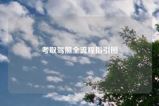 考取驾照全流程指引图