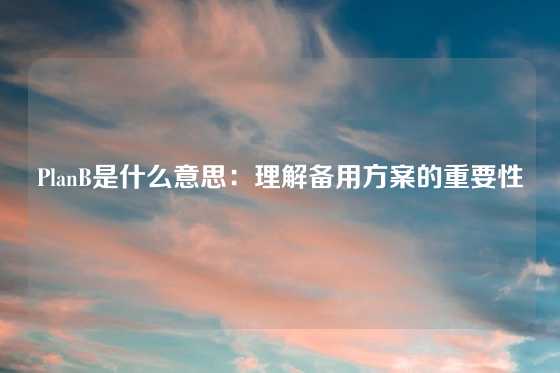 PlanB是什么意思：理解备用方案的重要性