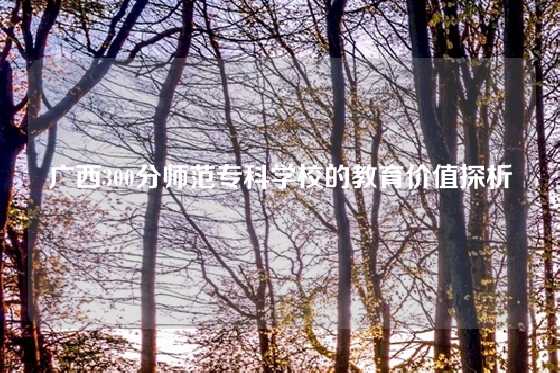 广西300分师范专科学校的教育价值探析