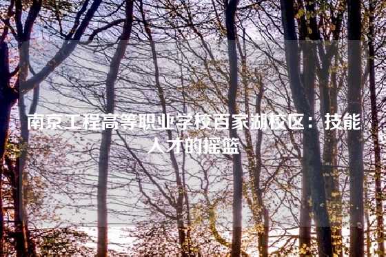 南京工程高等职业学校百家湖校区:技能人才的摇篮