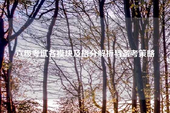 六级考试各模块及格分解析与备考策略