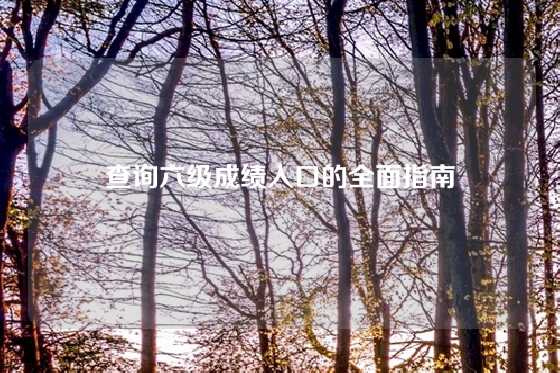 查询六级成绩入口的全面指南