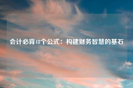 会计必背48个公式：构建财务智慧的基石