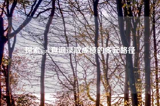 探索xjzk查询录取成绩的多元路径