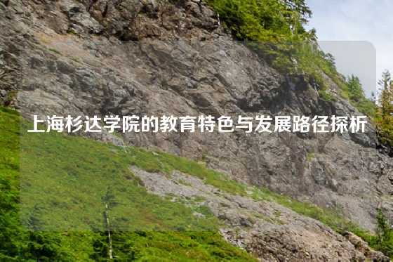 上海杉达学院的教育特色与发展路径探析