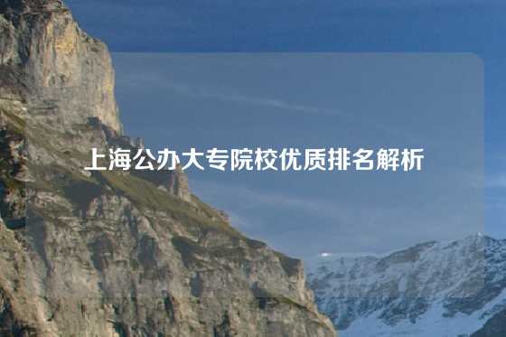 上海公办大专院校优质排名解析