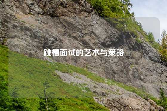 跳槽面试的艺术与策略