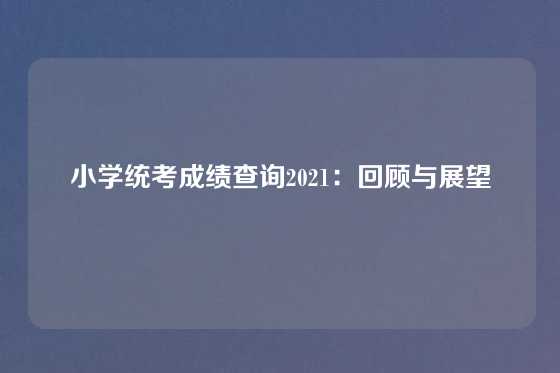小学统考成绩查询2021：回顾与展望