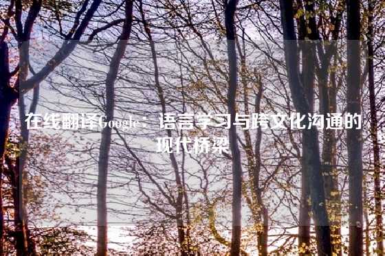 在线翻译Google：语言学习与跨文化沟通的现代桥梁