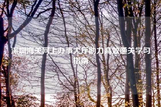 深圳海关网上办事大厅助力高效通关学习指南