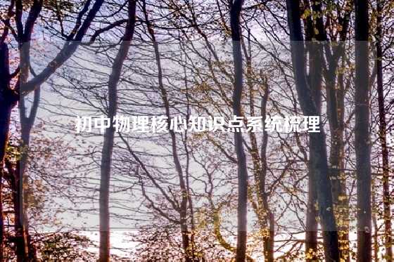 初中物理核心知识点系统梳理