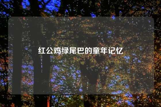 红公鸡绿尾巴的童年记忆